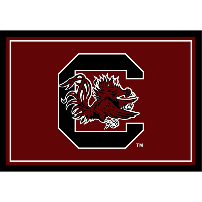 NCAA Team Spirit Rugs
