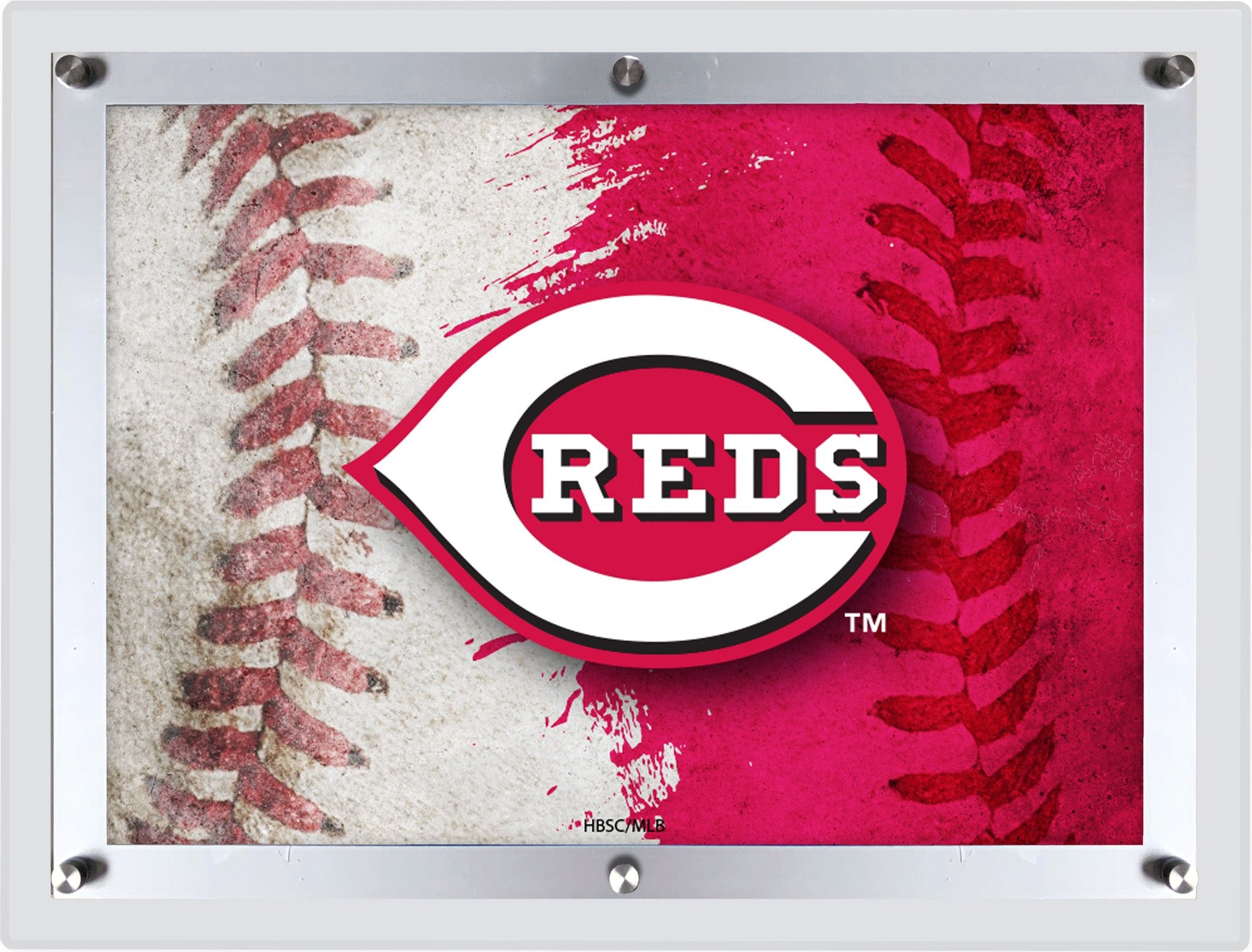 MLB Licensed 19