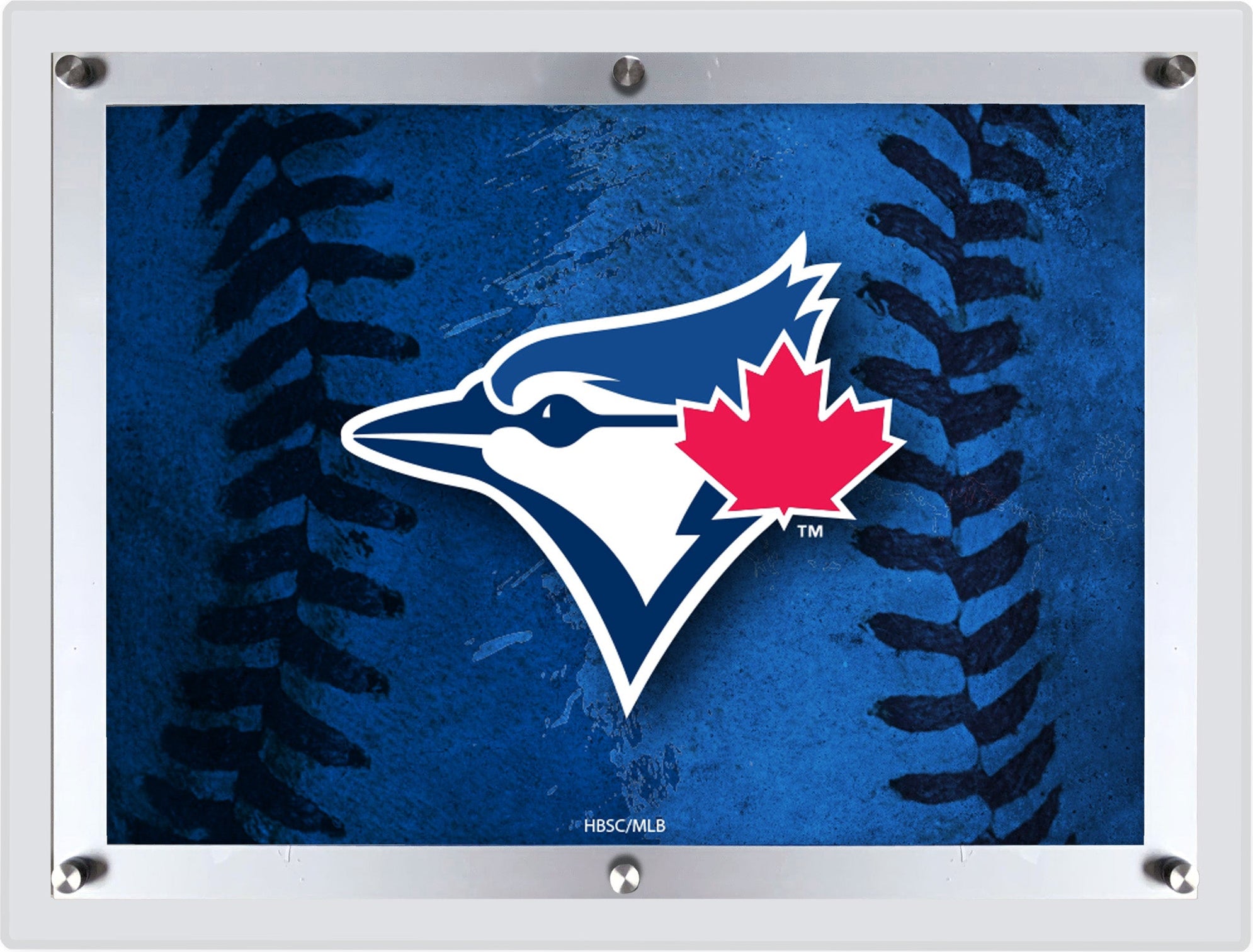 MLB Licensed 19