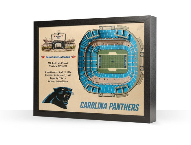 You The Fan! NFL Stadium View 25-Layer 3D Wall Art